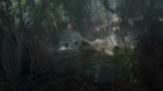.webm