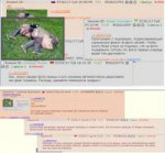 15551249904500.png