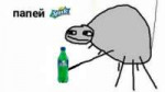 1526566887749.jpg