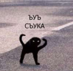 tD5hWYD8V4w.jpg