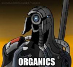 .jpg