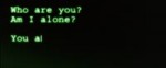.webm