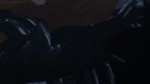 .webm