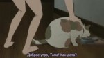 random relationships between me and cat.webm