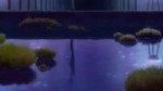 .webm