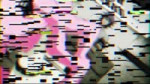.webm