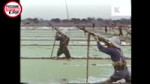 .webm