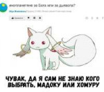 366.jpg