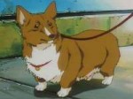 Top-10-Best-Anime-with-Dogs3.jpg