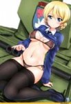 kamogawa-tanuki-Darjeeling-Girls-und-Panzer-Anime-4260240.jpeg