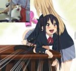 watanore-amp-039-s-k-on-cat-horror-13o4295471.jpg