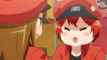 [Erai-raws] Hataraku Saibou - 12 [1080p][Multiple Subtitle][...].jpg