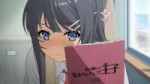 [HorribleSubs] Seishun Buta Yarou wa Bunny Girl Senpai no Y[...].jpg