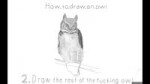 How to draw an owl.mp4