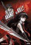 814131014276anime-akame-ga-kill-collection-1-dvd-primary.jpg