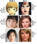 Japanese-vs-White-Facial-Structure.jpg