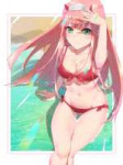 Zero-Two-(Darling-in-the-Franxx)-Darling-In-The-Franxx-Anim[...].jpeg