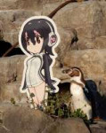 Grape-kun-the-male-penguin-920390.jpg