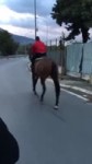FantinoalgaloppoalloZen,luieilcavallosischiantanocontrounpa[...].mp4