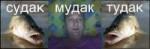 15123910520270.jpg