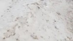 videoplayback.mp4