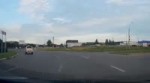 BackGorgeousAmbushbug.webm