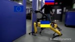 15192095830340.mp4