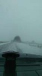 P20180204132135.jpeg
