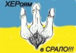 155165165165.jpg