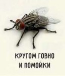 2401904982.jpg