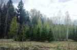 IMG20160502155042.jpg
