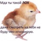 1519916538130.jpg