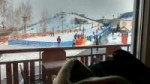 IMG20180303102459.jpg