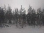 P20180310133848.jpeg