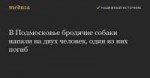 v-podmoskovie-brodyachie-sobaki-napali-na-dvuh-chelovek-odi[...].png