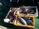 P20170423171415.jpeg