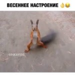 VID-20180308-WA0066.mp4