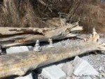 photo2018-03-2708-52-42.jpg