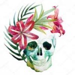 depositphotos71648353-stock-illustration-watercolor-skull-w[...].jpg