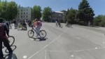 YDXJ4853.webm