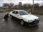 Alfa 164.jpg