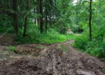 depositphotos32806141-stock-photo-forest-road-of-mud.jpg
