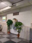 IMG20260821144140446.jpg