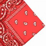 red-paisley-bandana.jpg