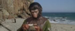 Planet of the Apes.webm