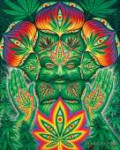 AlexGrey-Cannabacchushir.jpg