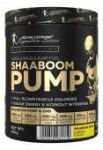 shaboompump08enl.jpg