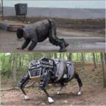 Boston Dynamics.jpg