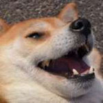 14696201670200s.jpg