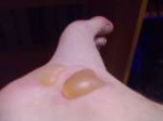 28082011164.jpg